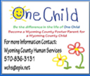 Wyoming County Human Services